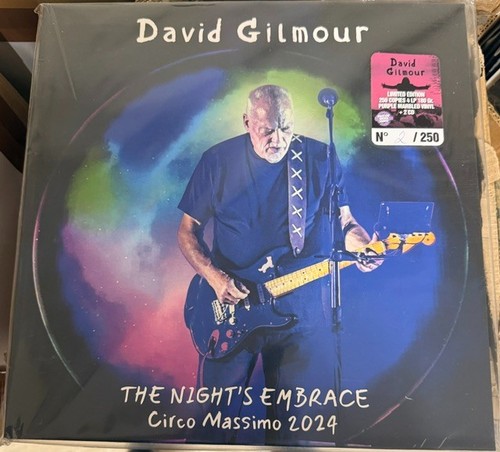 David gilmour the night s - gilmour, night’s