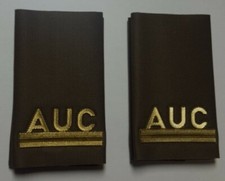 VINTAGE Coppia Tubolari Grado