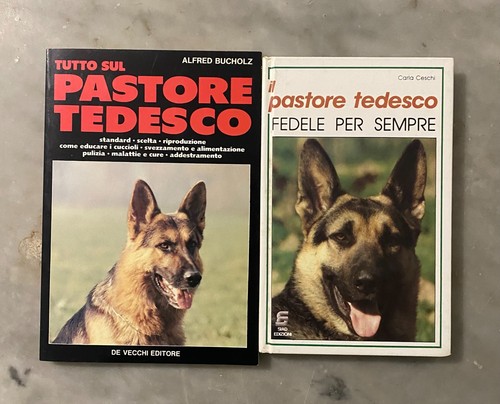 Lotto tutto sul pastore - lotto:,