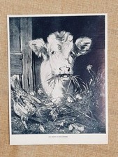 Head of Calf and a Rooster