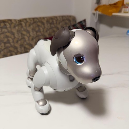 Sony aibo ers1000 robot - aibo, cane