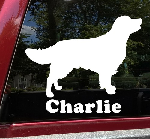 Golden retriever con nome - golden,