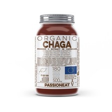 Chaga Inonotus obliquus fungo