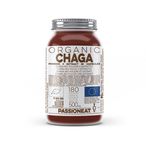 Chaga inonotus obliquus fungo - chaga,