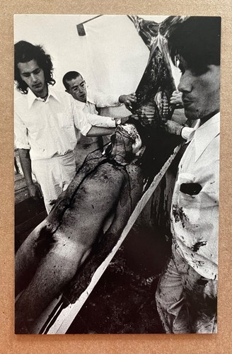 Cartolina hermann nitsch - hermann,
