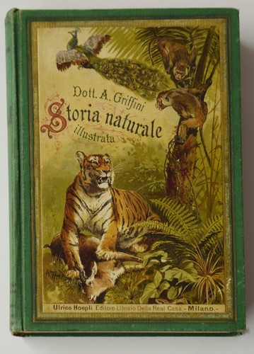 Old book libro - antico, storia