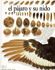 EL PAJARO Y SU NIDO