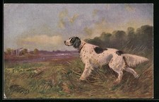 Cartolina artistica Setter in paesaggio con acque 