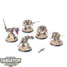 Cavalieri Grigi - Squadra