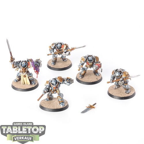 Cavalieri grigi squadra - -,