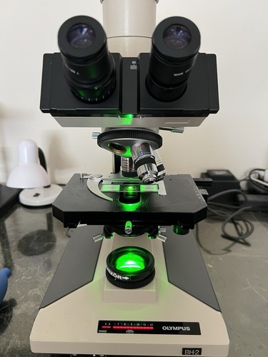 Olympus bh2 bhs microscopio - bh2/bhs,
