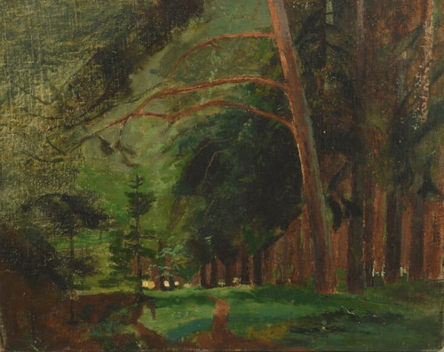 Veduta della foresta dipinto - della,