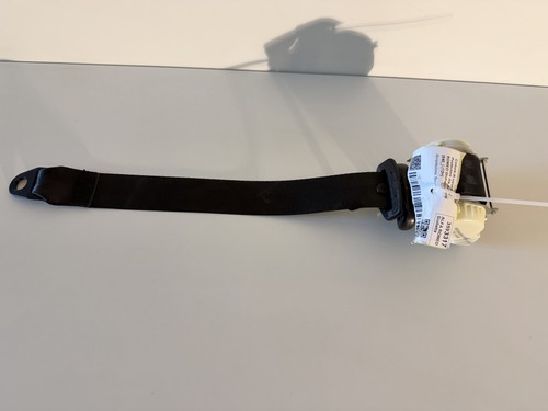 Cintura sicurezza - di,