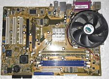 Scheda Madre Asus P5VDC-X con