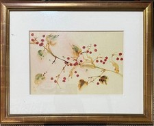 Frutta rossa, Kazuhisa Ando