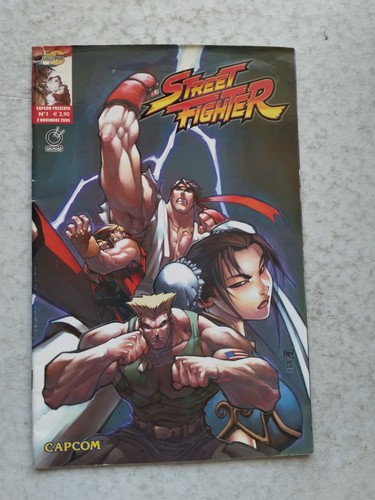 Street fighter capcom 2005 - fighter,