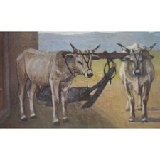 Giovanni Malesci, Buoi