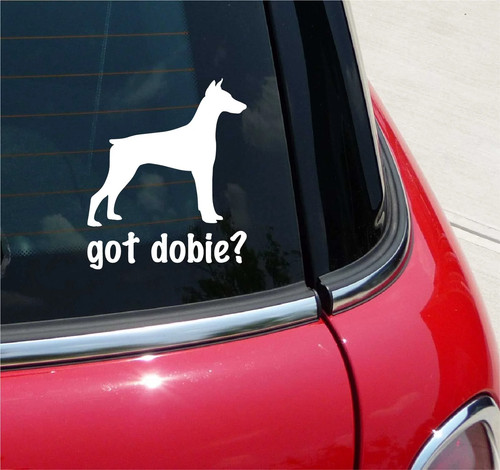 Got dobie doberman pinscher - got,