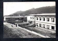 Cartolina Botticino Nuovo Asilo e Scuole ANIMATA (CR682)