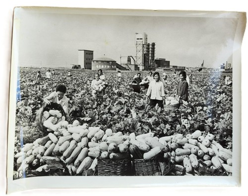 Foto stampa impara - da, daqing"