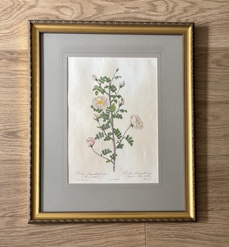 Stampa cartolina vintage