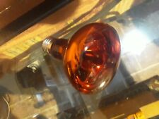 LOTTO LAMPADINE RETTILARIO +