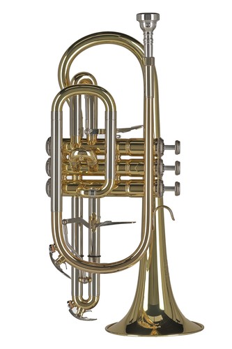 Strumenti musicali vari - strumenti,