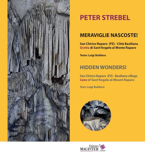 Libro peter strebel luigi - libro,