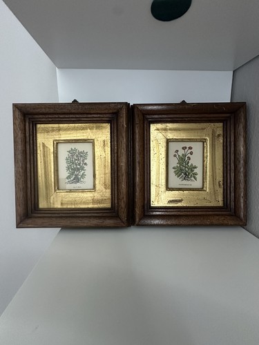 Coppia quadretti botanici - quadretti,