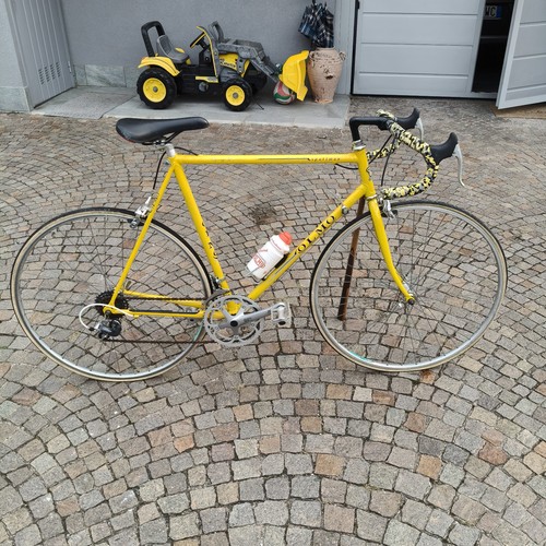 Olmo sportsman - olmo, 60