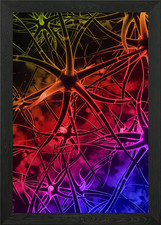 Nerve cells ll poster arte da