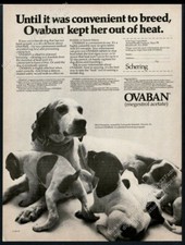 1977 Pointer dog & puppy