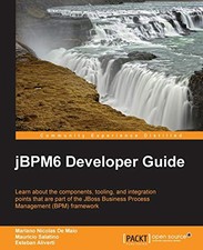 jBPM6 Developer Guide,Mariano