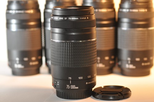 One canon 300mm 4 5 - 75-300mm, f/4-5.6