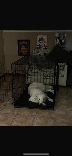 Kennel cane xxl - cane, con