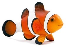 Mojo 387090 Pesce Pagliaccio