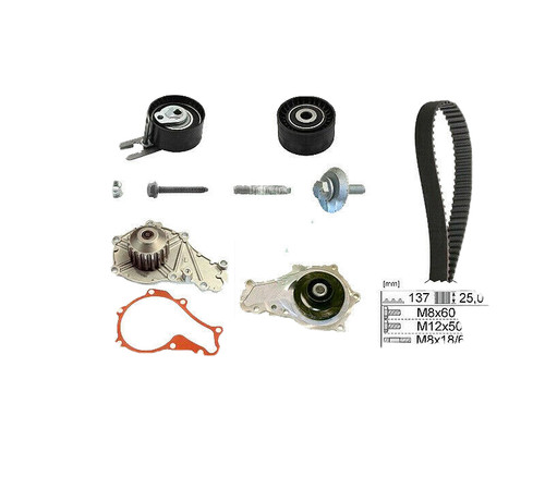 Kit distribuzione pompa acqua - pompa,