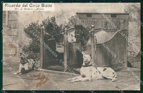 Milano città ricordo circo - milano, di