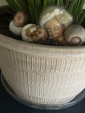 Lumache raccapriccianti strane