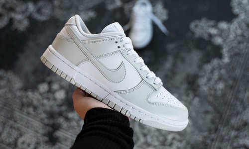 Nike dunk low photon - nike, dust