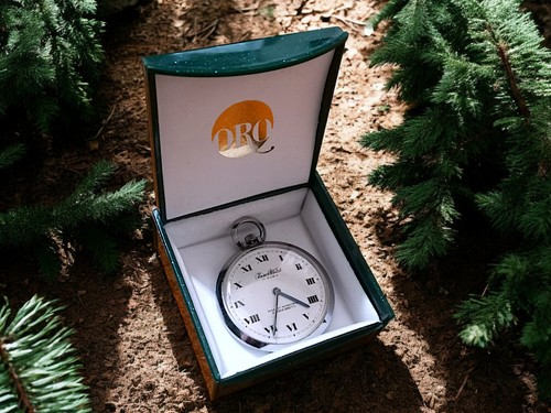 Orologio tasca faiserwatch - orologio,