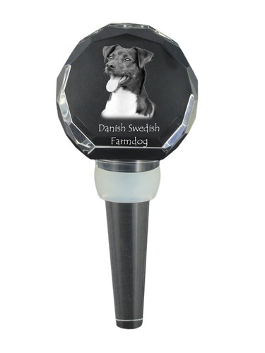 Cane fattoria - cane,