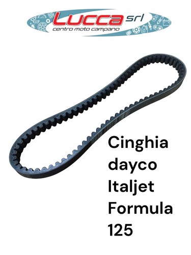 7198 cinghia trasmissione - cinghia,