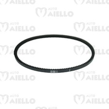 Cinghia alternatore Aixam