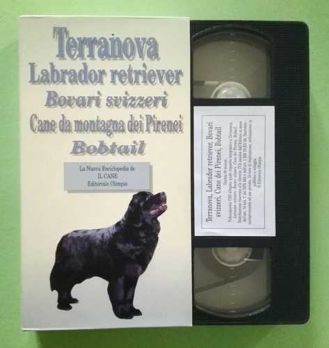 Vhs terranova labrador bovari - vhs, terranova,labrador,bovari