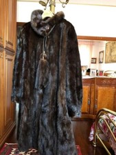 Pelliccia Visone Maschio