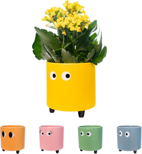 Originale vaso fiori - -,