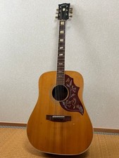 Aria Hummingbird Chitarra