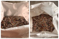 CORIANDOLI DI CARNEVALE