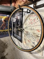 Ambrosio Montreal Tubular Rear